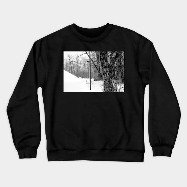 Park in Black and White. Crewneck Sweatshirt by CanadianWild418